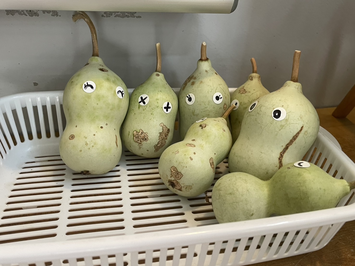 ママブラスおひさまハーモニー南知多町かるも保育所