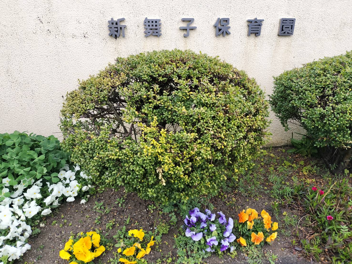 ママブラスおひさまハーモニー新舞子保育園知多市アンサンブル